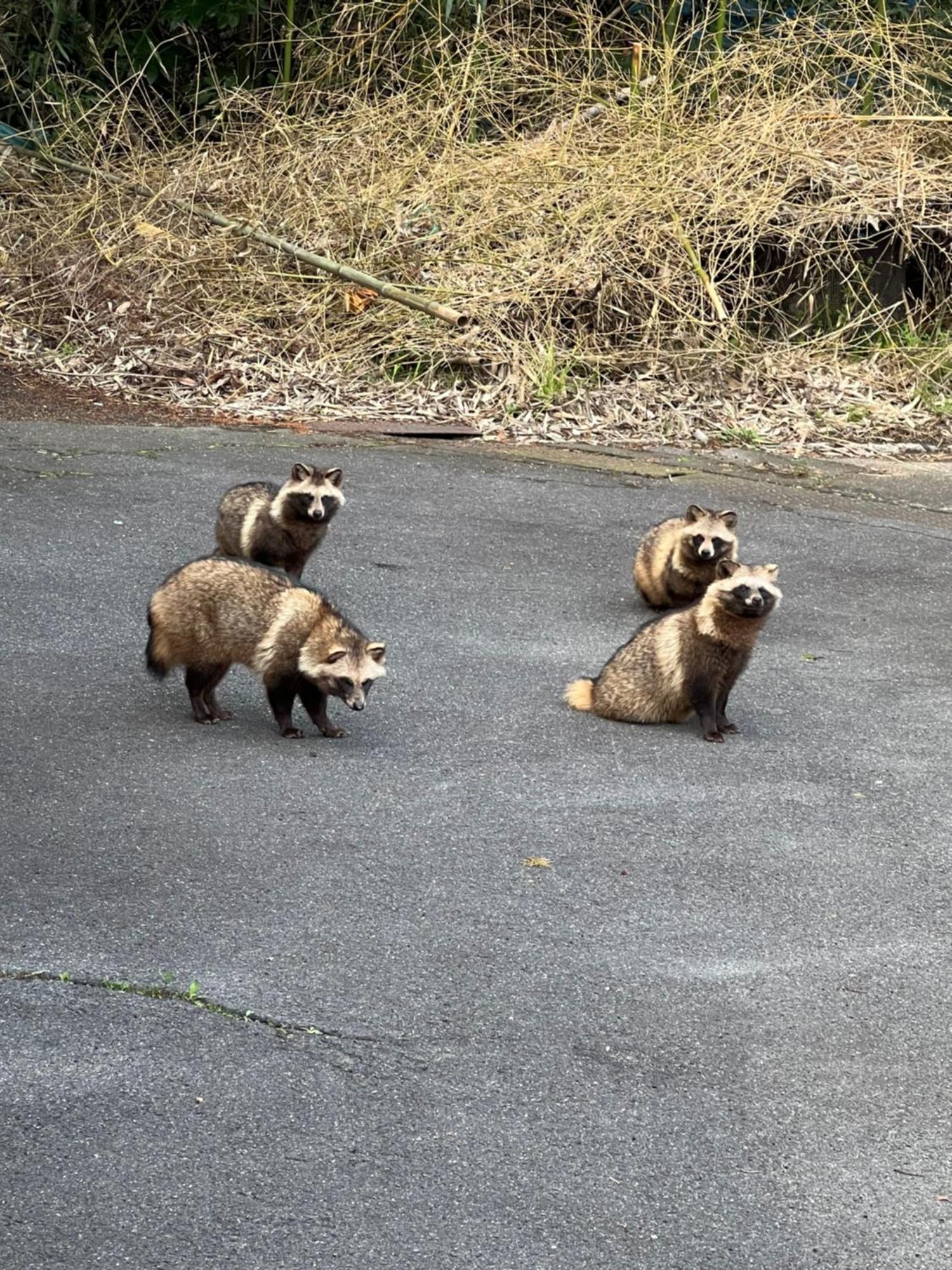 一日限定一組の宿なんでもん 直島町 エクステリア 写真
